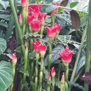 Meet your Posher, Krystle